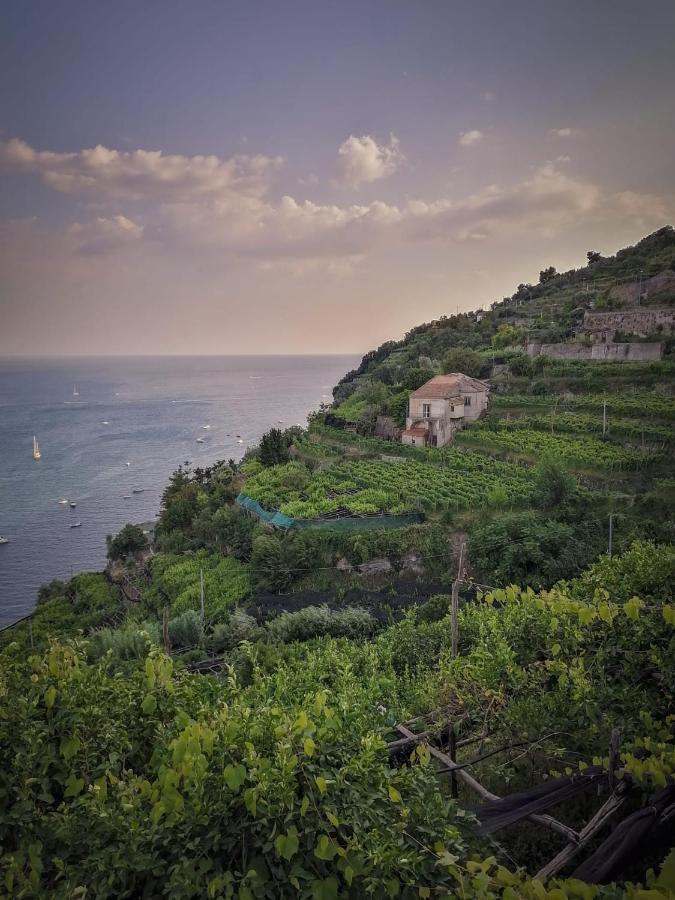 Ruderi Apartment Cetara Bagian luar foto